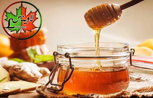 ماسک عسل و سیر برای زیبایی