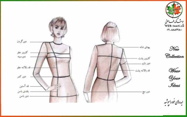 قسمت-های-مختلف-بدن1